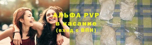 мдпв Богданович