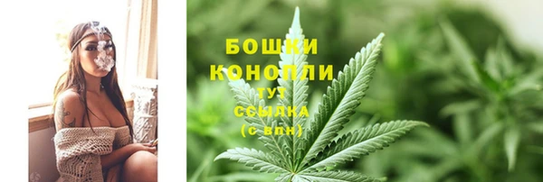 PSILOCYBIN Богородицк